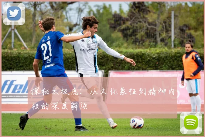 探秘太极虎：从文化象征到精神内核的深度解读
